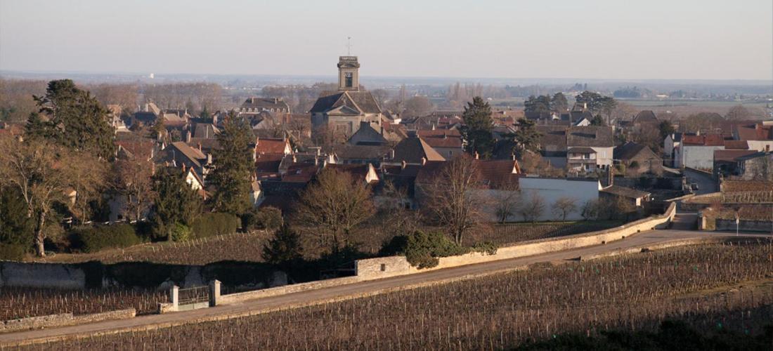 Domaine Violot-Guillemard Bed and Breakfast Pommard Eksteriør billede