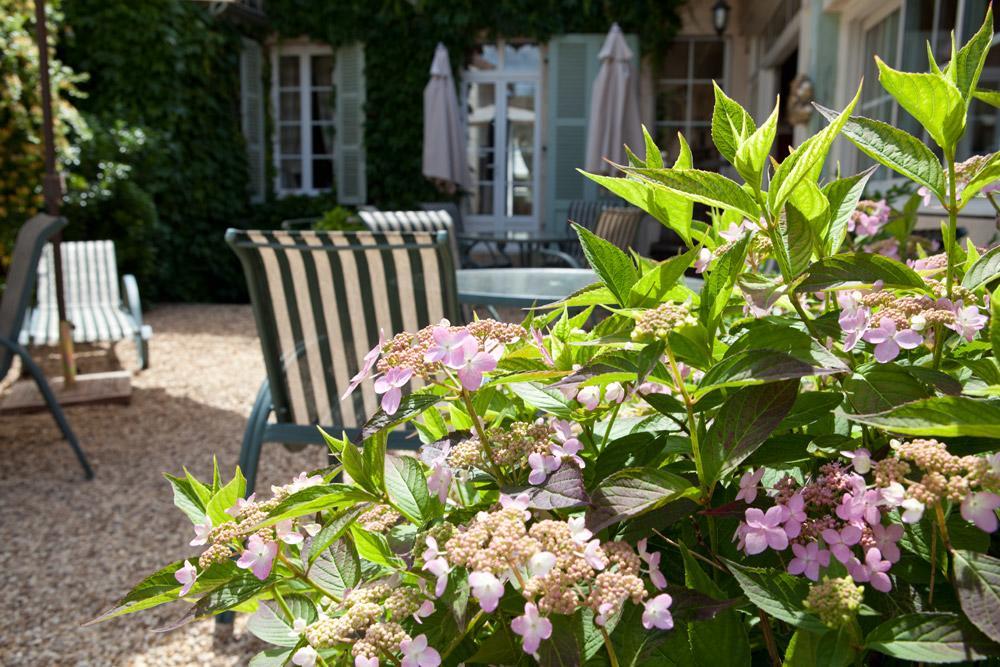 Domaine Violot-Guillemard Bed and Breakfast Pommard Eksteriør billede